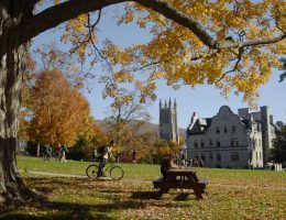 Williams College Writing Service: Buy Original Essay Papers