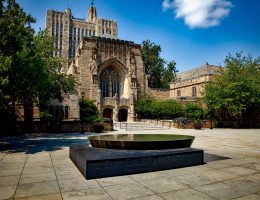 Yale University Writing Service: Buy Cheap & Original Essay Paper